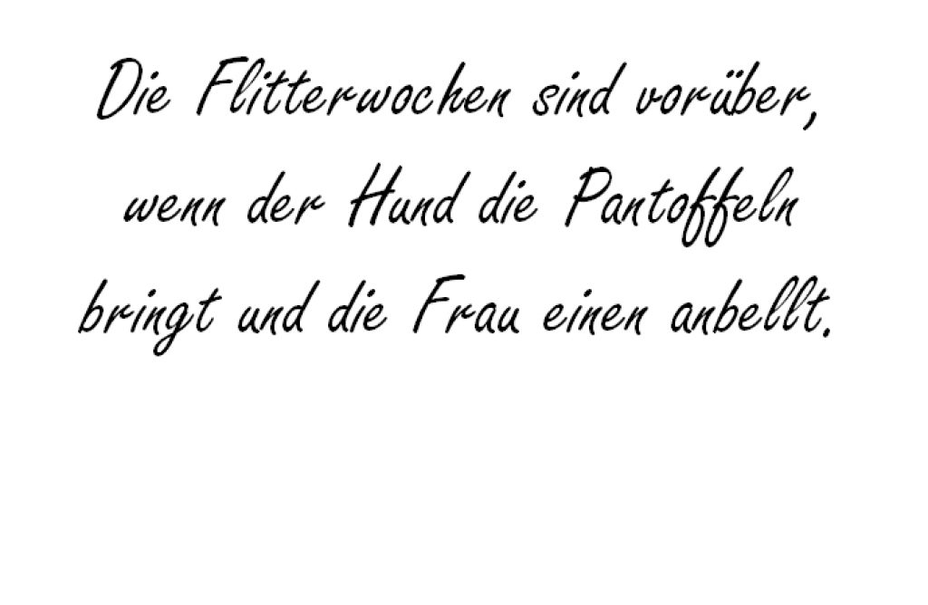 Die Flitterwochen hochzeitsfuchs