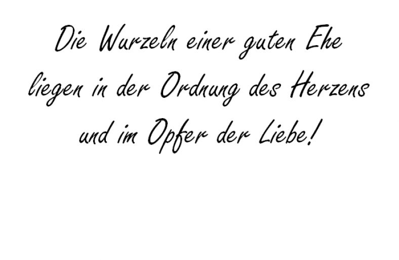Die Wurzeln einer hochzeitsfuchs